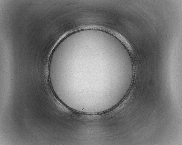 X0000112941244200908241000
