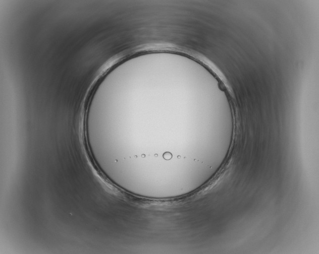 X0000112941245200908241000