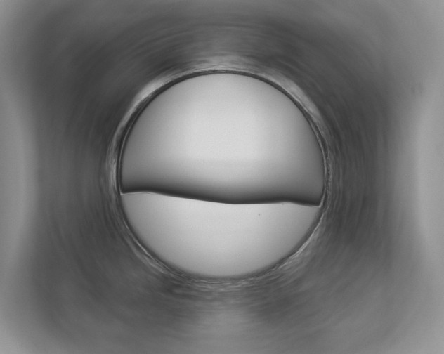 X0000112941246200908241000