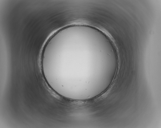 X0000112941248200908241000
