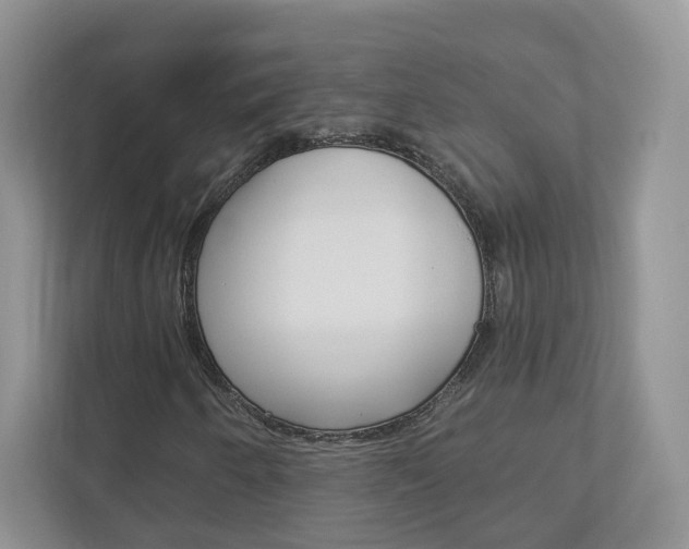 X0000112941250200908241000