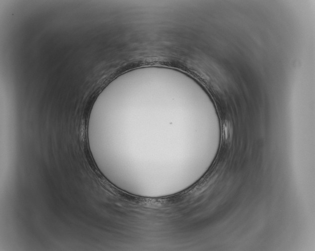 X0000112941251200908241000