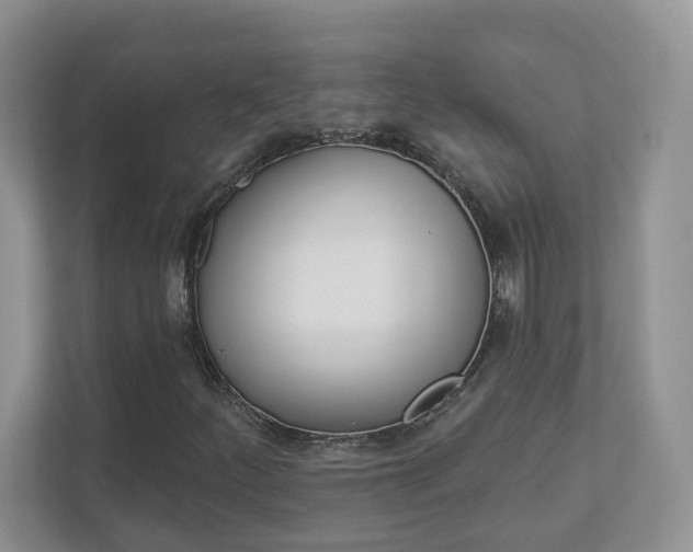 X0000112941252200908241000