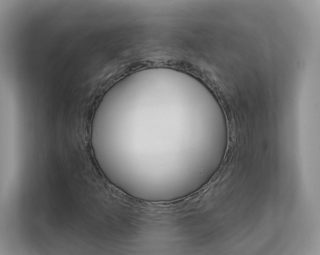 X0000112941253200908241000