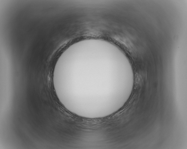 X0000112941254200908241000