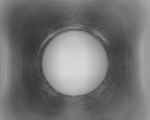 X0000112941256200908241000