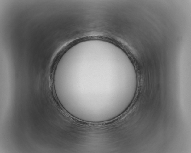 X0000112941262200908241000