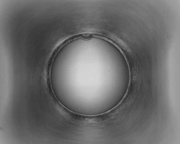 X0000112941264200908241000