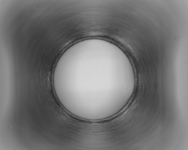 X0000112941265200908241000