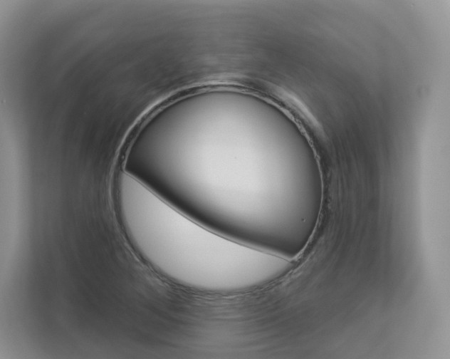 X0000112941268200908240959