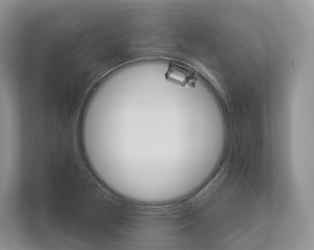 X0000112941269200908240959