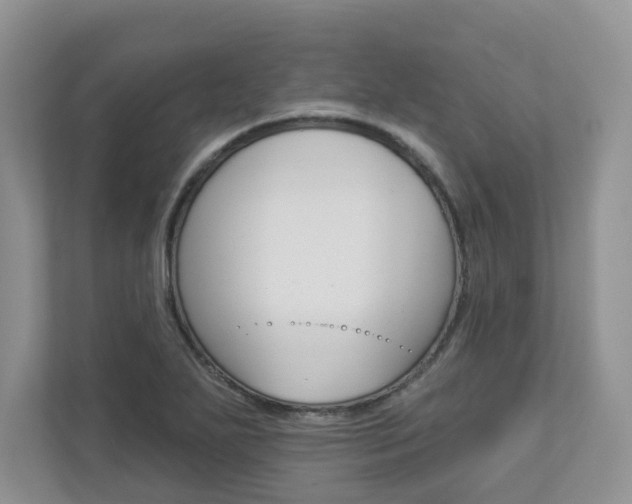 X0000112941271200908240959