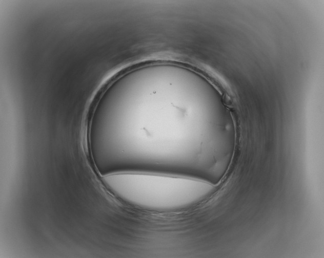 X0000112941272200908240959