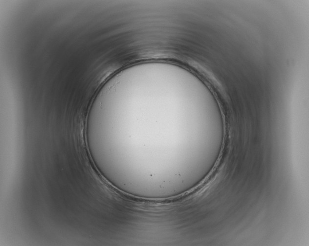 X0000112941273200908240959