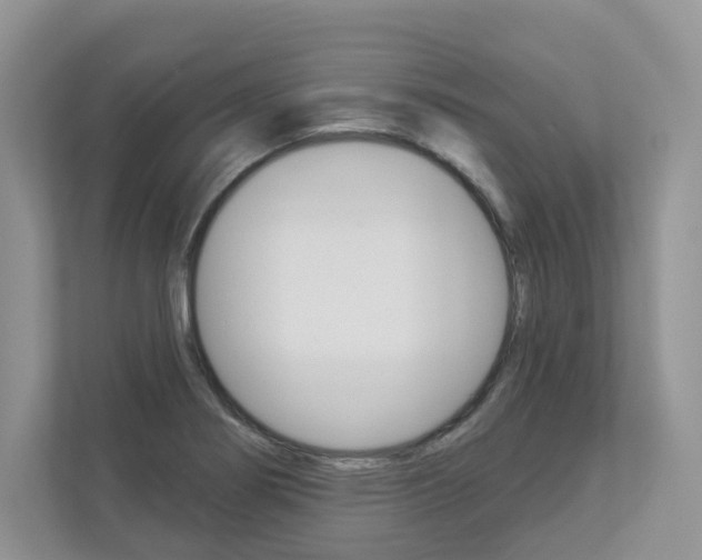 X0000112941274200908240959