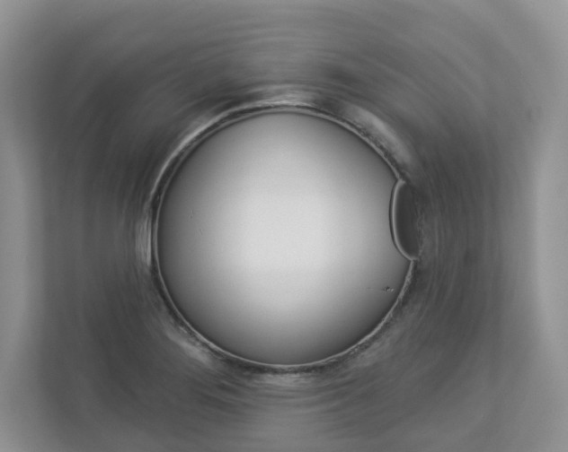 X0000112941276200908240959