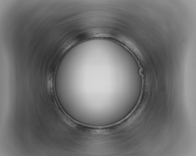 X0000112941281200908240959