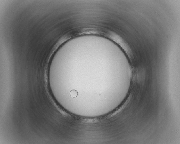 X0000112941282200908240959