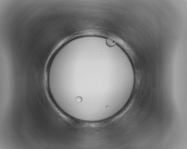 X0000112941286200908240959