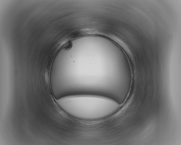 X0000112941289200908240959