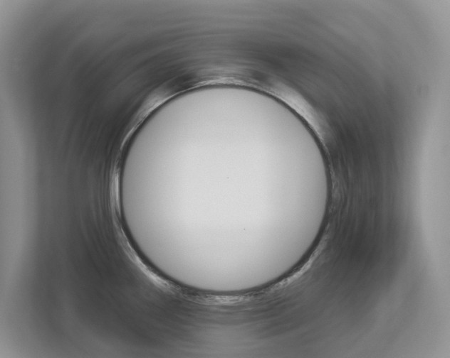 X0000112941290200908240959