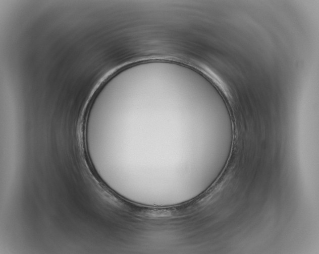 X0000112941291200908240959