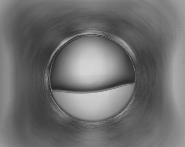 X0000112941292200908240959