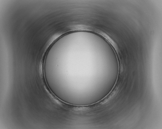 X0000112941293200908240959