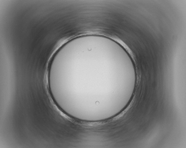 X0000112941294200908240959
