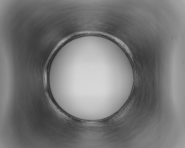 X0000112941295200908240959