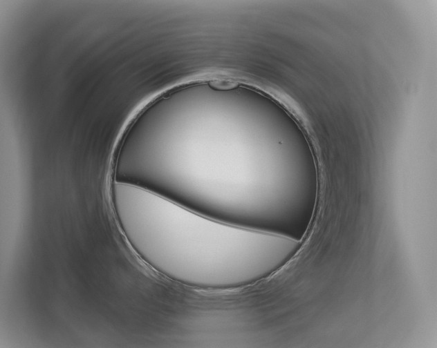 X0000112941296200908240959