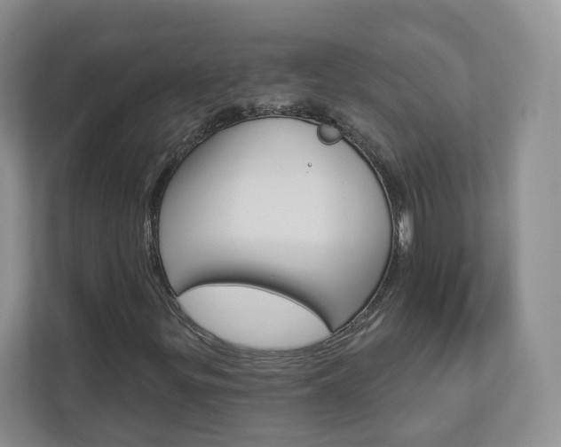 X0000112941299200908240959