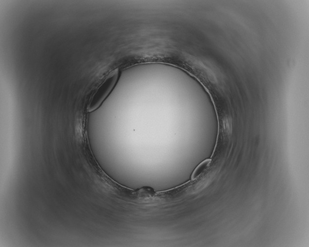 X0000112941300200908240959
