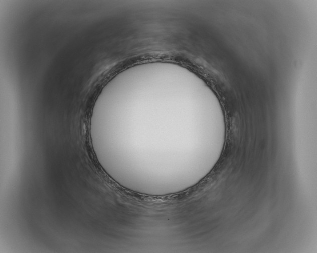 X0000112941302200908240959