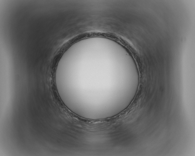 X0000112941303200908240959