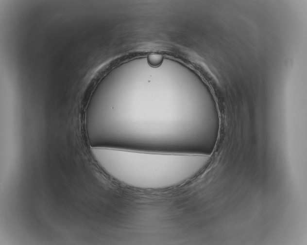X0000112941304200908240959