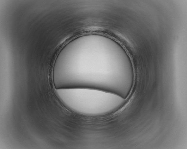 X0000112941305200908240959