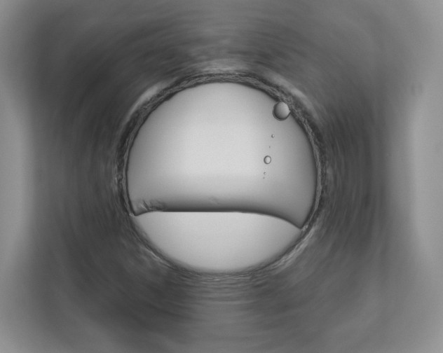 X0000112941306200908240959