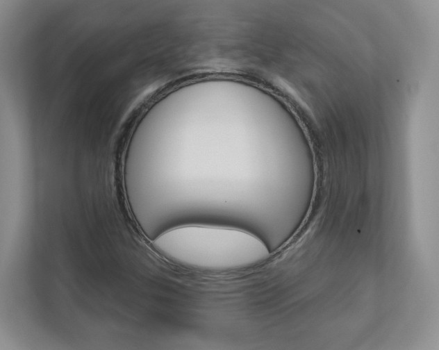 X0000112941307200908240959