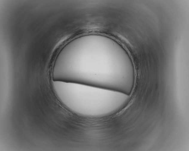 X0000112941309200908240959