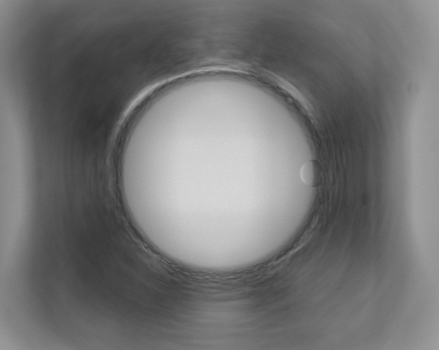 X0000112941310200908240959