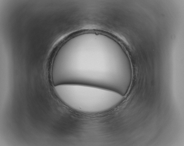X0000112941311200908240959