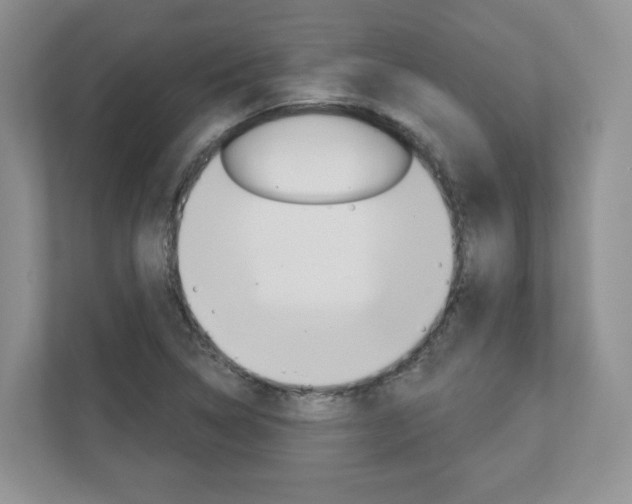 X0000112941314200908240959
