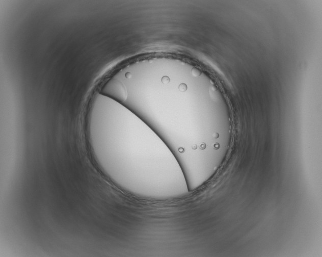 X0000112941315200908240959