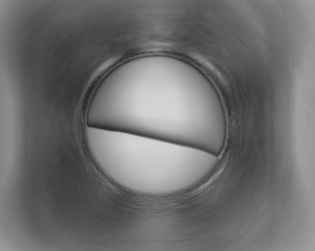 X0000112941317200908240959