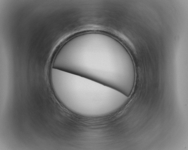 X0000112941318200908240959