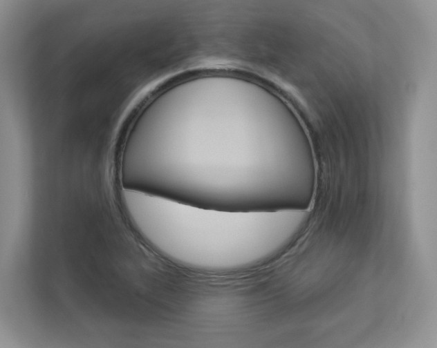 X0000112941319200908240959
