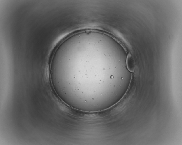 X0000112941320200908240959