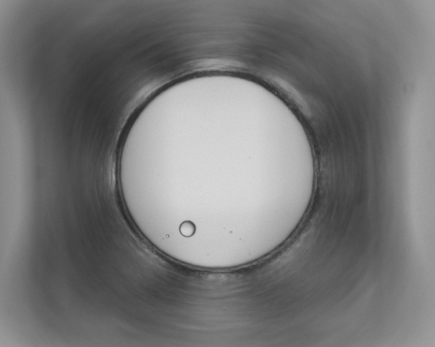 X0000112941322200908240959