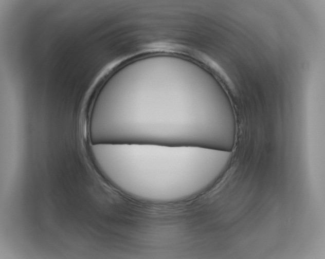 X0000112941323200908240959